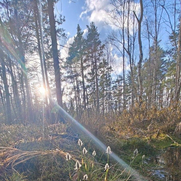 Источник: Каждой твари по паре | Павел Глазков