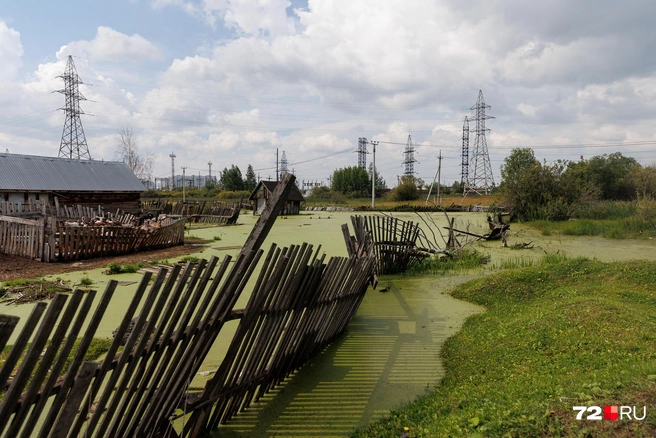Огороды в воде | Источник: Ирина Шарова / 72.RU
