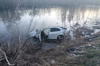 Шесть несовершеннолетних пострадали в ДТП в Рязанской области за выходные