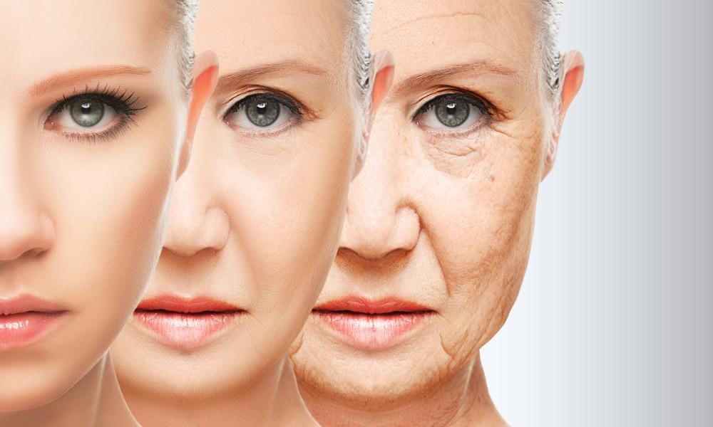 4 морфотипа старения: как подобрать процедуры для продления молодости