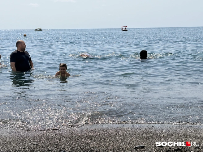 Море комфортной температуры — 25,26 градусов | Источник: Анна Грицевич / SOCHI1.RU