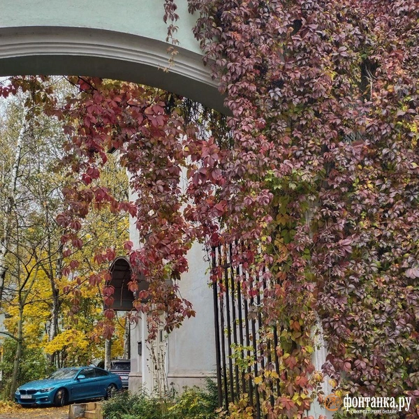 Источник: читатель «Фонтанки»