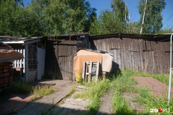 Источник: Иван Митюшёв / 29.RU