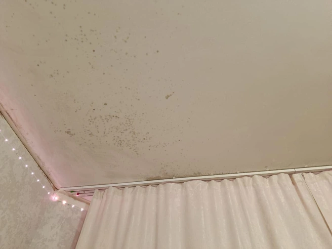 Источник: читательница 72.RU