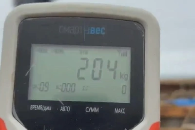 204-килограммового тунца поймали в Макаровском районе