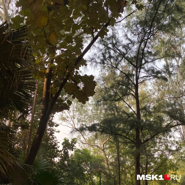 Источник: Лада Михайлович