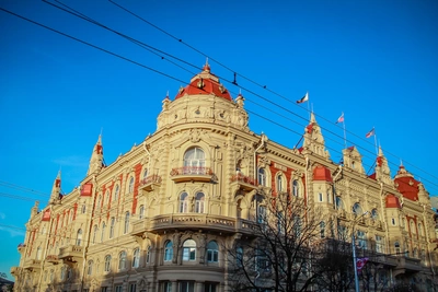 Временный руководитель назначен в управление торговли Ростова