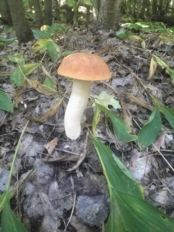 Источник: Александр Сарвенков