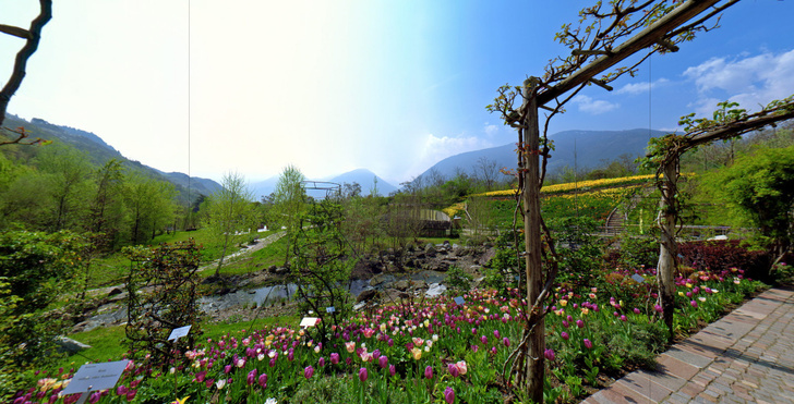 #Лучшедома: 10 виртуальных туров по ботаническим садам (фото 7)