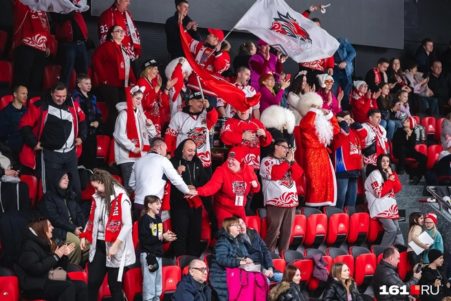 Болельщики в восторге | Источник: Евгений Вдовин / 161.RU