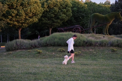 В Краснодаре температура превысит климатическую норму