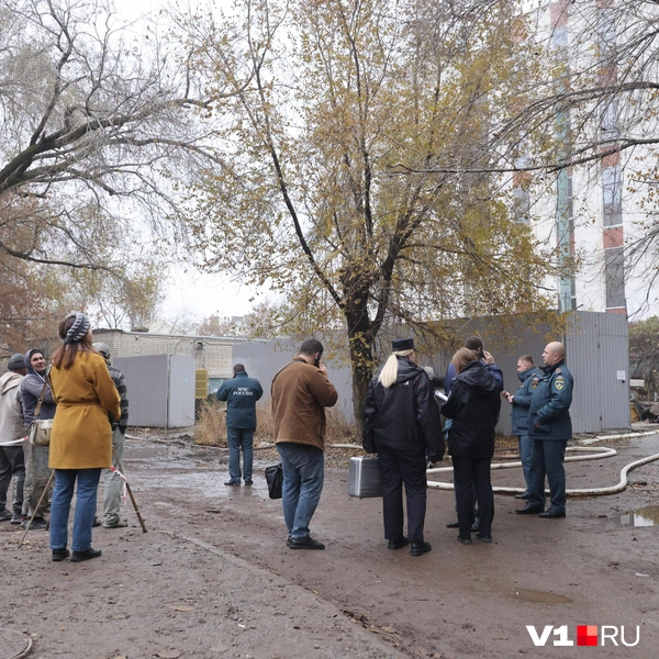 Источник: Алексей Волхонский / V1.RU