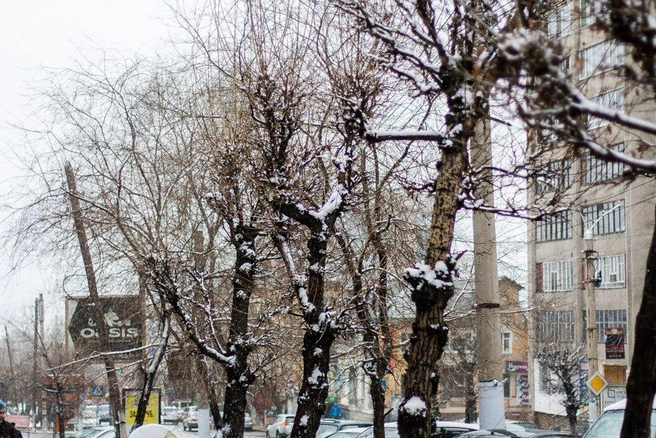 Источник: Ксения Зимина