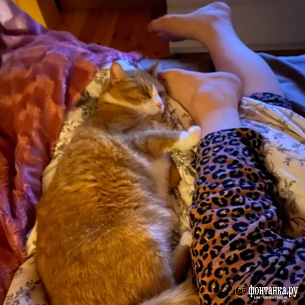 Источник: Дачный отдых читательницы Марины