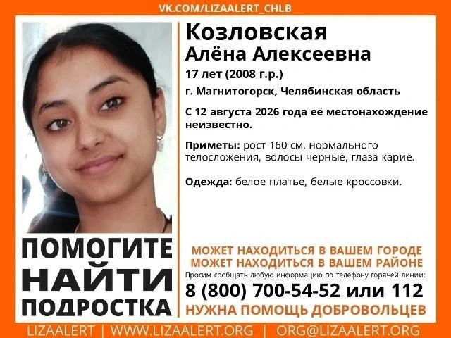 Источник: Поисковый отряд «ЛизаАлерт» Челябинской области