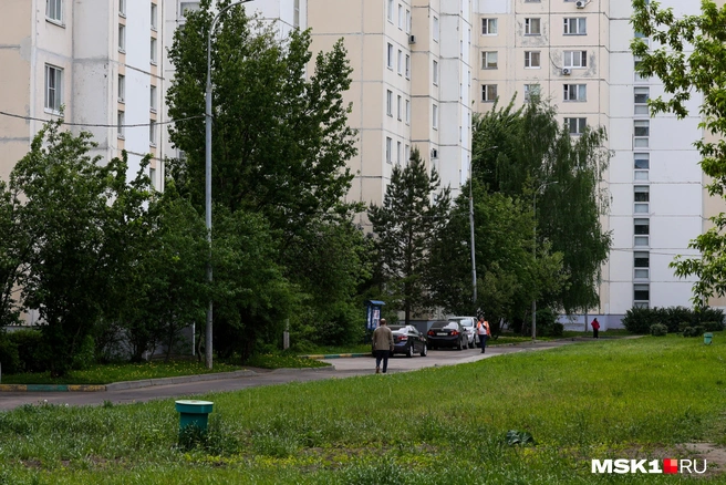 Источник: Артем Устюжанин / MSK1.RU