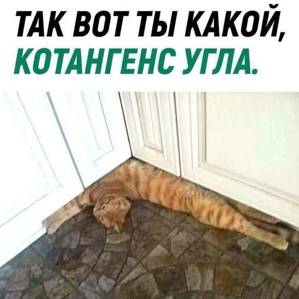Источник: Kill Bill: Vol. 2
