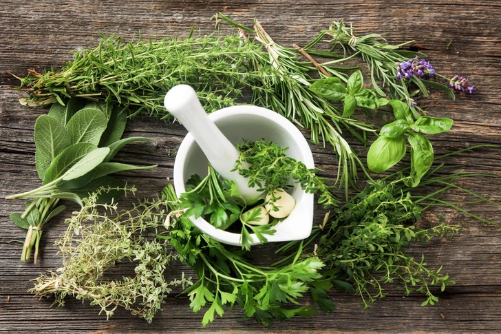 травы, зелень, польза, вред | Источник: iStockphoto