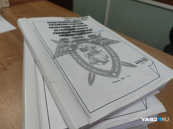 В деле несколько томов, на следующем заседании продолжится допрос свидетелей | Источник: Кристина Мельникова / YA62.RU
