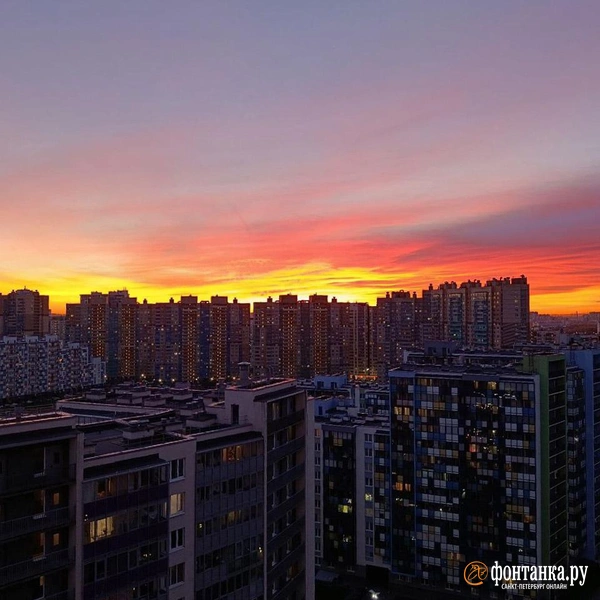 Источник: читатель «Фонтанки» Александр