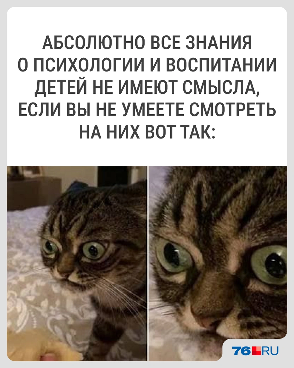 Особенно, когда речь идет о поведении в школе | Источник: Городские медиа
