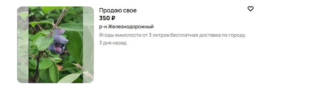 Источник: Авито