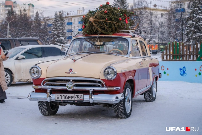 Похоже, на своих четверых приехал | Источник: Булат Салихов / UFA1.RU