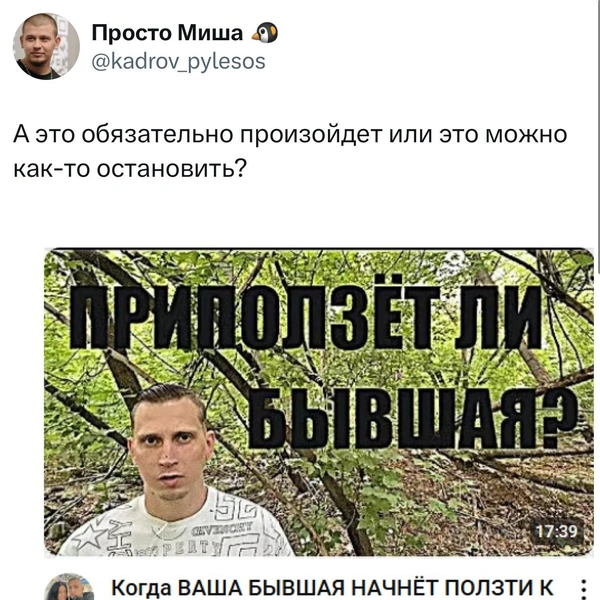 Источник:  X (Twitter)