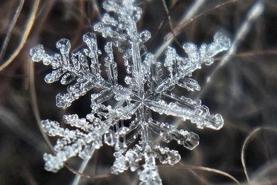 Snow Falls Daily in Arkhangelsk: A Close-Up Look
