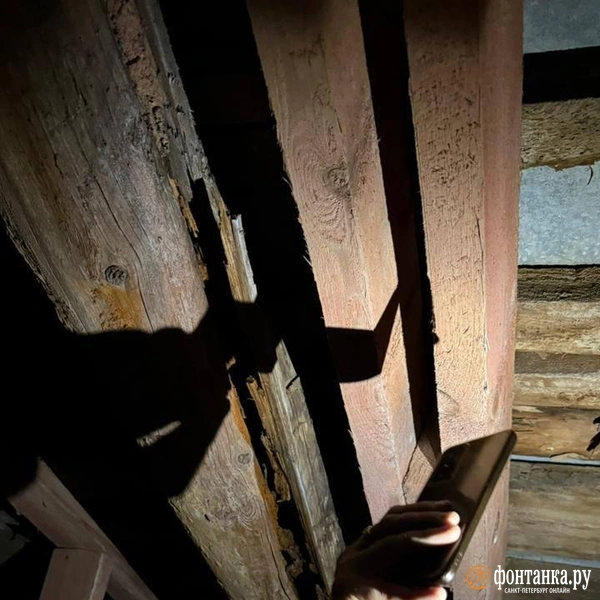 Источник: «Фонтанка.ру»
