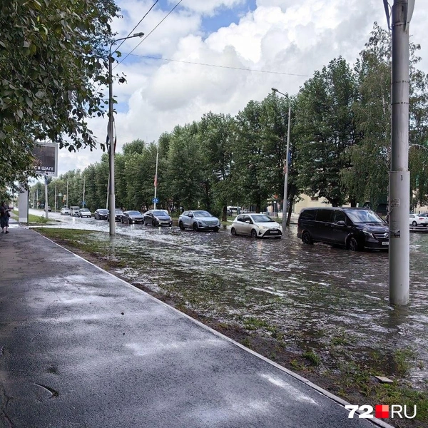 Источник: Павел Красоткин / 72.RU