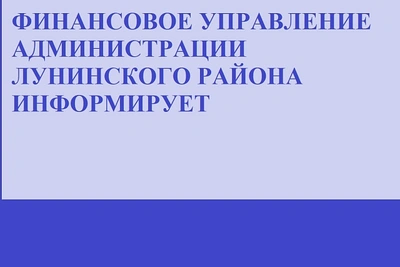 Публичные слушания по бюджету Лунинского района за 2025
