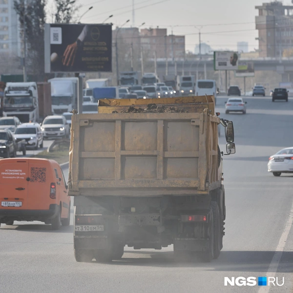 Качество воздуха можно оценить и без приборов | Источник: Александр Ощепков / NGS.RU