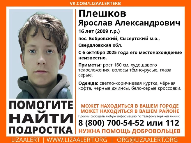 Покажите ориентировку близким и коллегам, это посодействует поискам | Источник: «ЛизаАлерт»