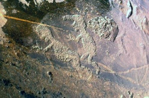 У таких рисунков было ритуальное значение | Источник: Тимофей Ключников