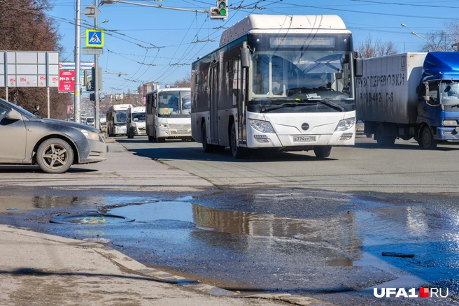 Из Уфы в сады отправятся 20 маршрутов | Источник: Булат Салихов / UFA1.RU