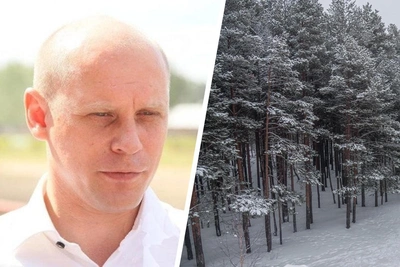 Архангельский бизнесмен выплатит миллиард за вырубку