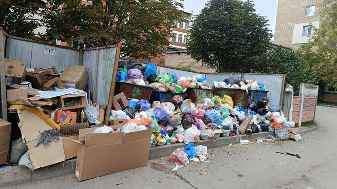 Переполненные мусорные контейнеры на Сенной | Источник: Читатель YA62.RU