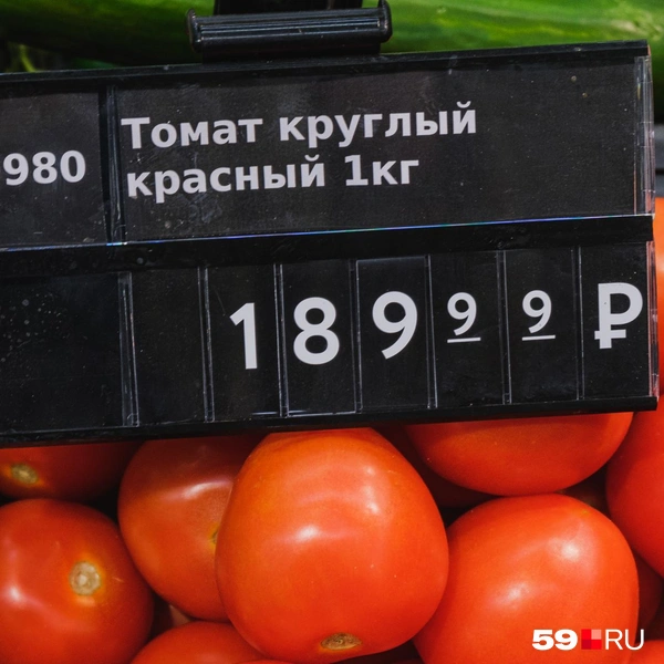 Источник: Тимофей Калмаков / 59.RU