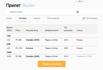 Ситуация с рейсами Pegasus Airlines в Пулково, 2 сентября | Источник: pulkovoairport.ru