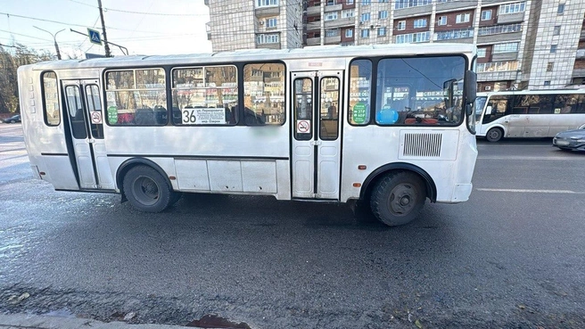 Женщина шла по пешеходному переходу на разрешающий сигнал светофора | Источник: МВД России по Воронежской области / T.me