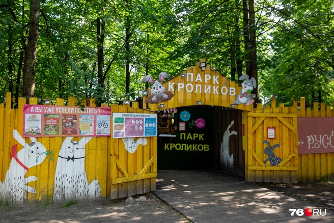 Цена билета в парк кроликов зависит от дня недели. В будние дни: 250 рублей&nbsp;— детский, 300 рублей&nbsp;— взрослый. В выходные на 50 рублей дороже | Источник: Кирилл Поверинов / 76.RU