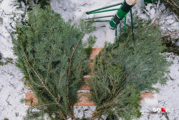 Можно купить и сборную композицию, и лапник | Источник: Тимофей Калмаков / 59.RU