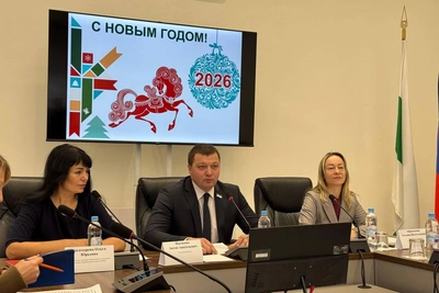 Науменко: в Кургане 31 декабря не будет новогоднего салюта