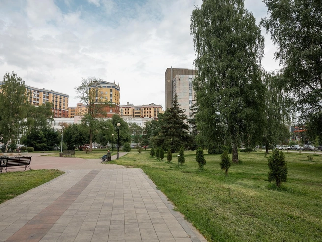 В парке высадили «Аллею трудовой доблести» | Источник: Александр Куренной / 76.RU
