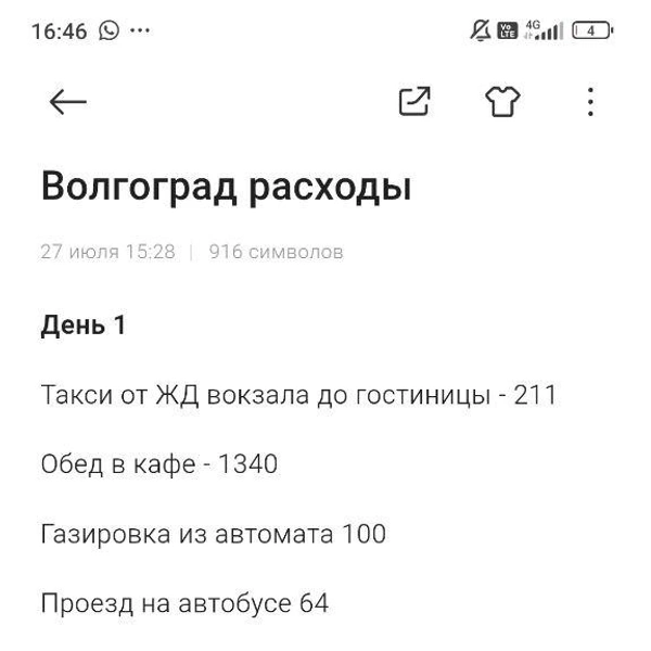 Вот вся моя бухгалтерия  | Источник: Александра Исмайлова / 63.RU 