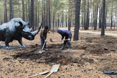 В «Динолесе» под Читой появились новые скульптуры динозавров