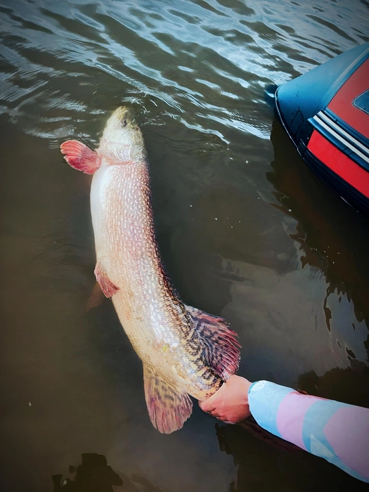 Источник: Натали Каспер / Vk.com