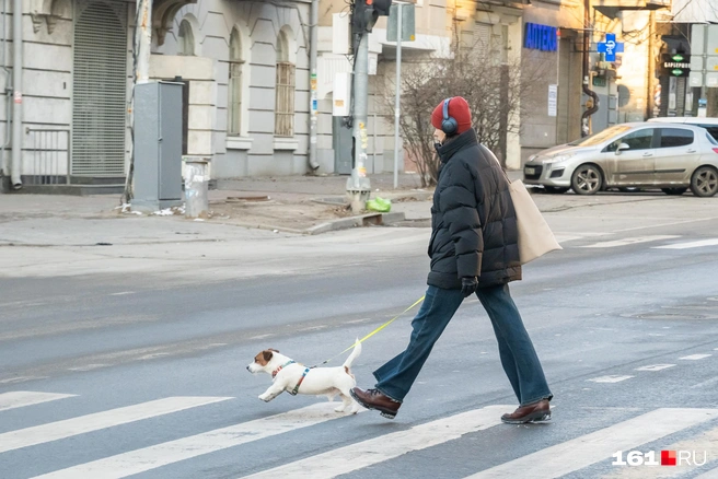 Источник: Евгений Вдовин / 161.RU