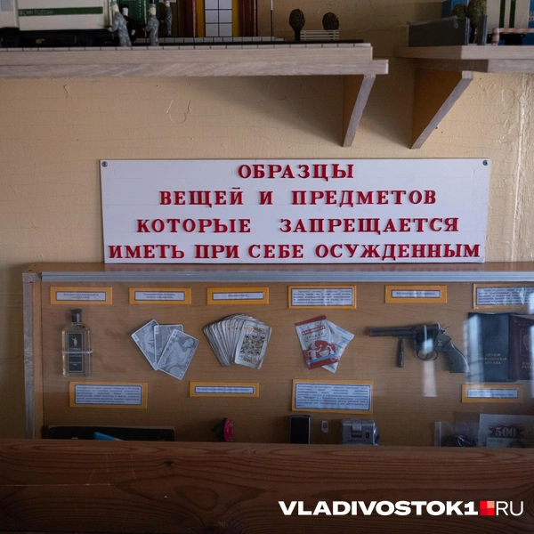 Источник: Елена Буйвол / VLADIVOSTOK1.RU